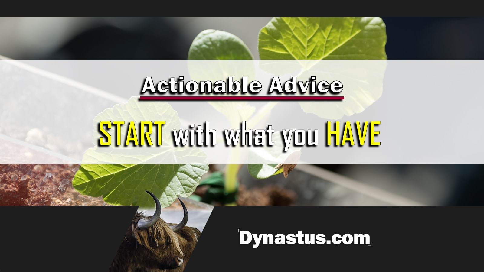 Start With What You Have Dynastus