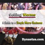 Selling Worms for Profit Dynastus