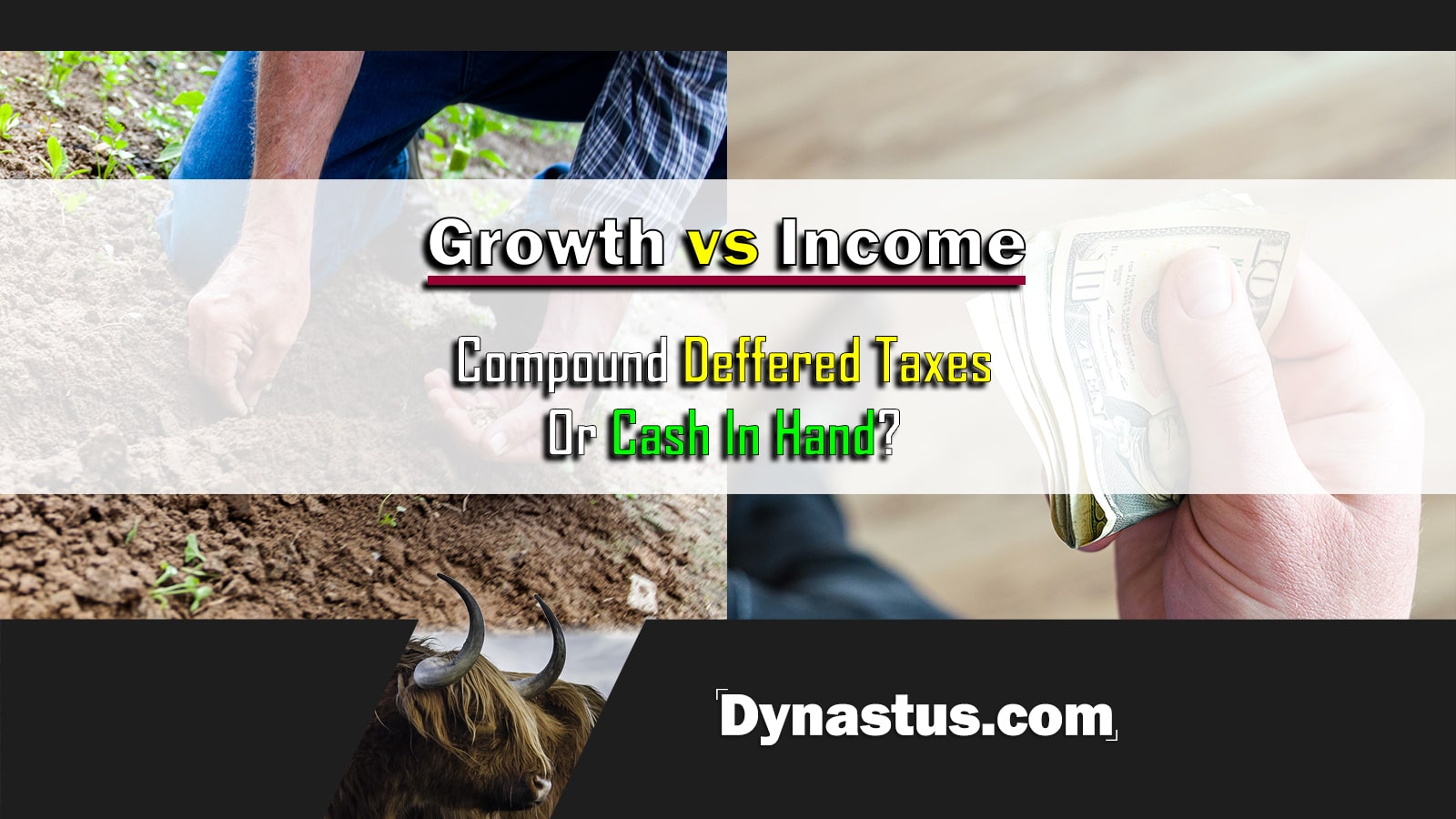 Growth vs Income Thumbnail