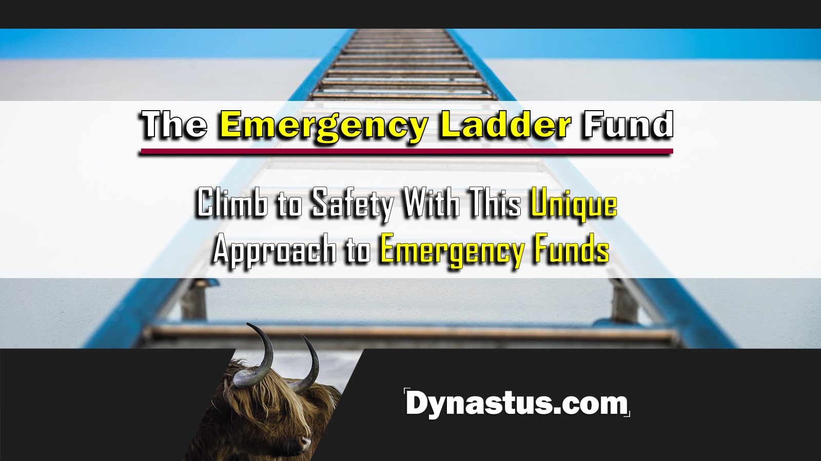 Emergency Ladder Fund Thumbnail