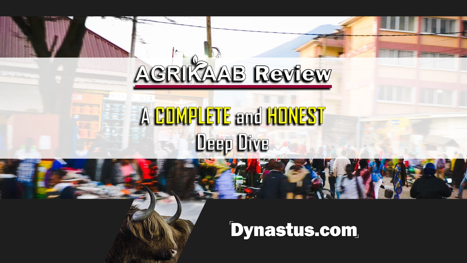 Agrikaab Review Dynastus Thumbnail