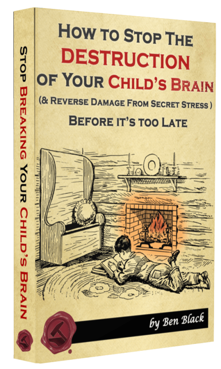 How to Stop the Destruction of Your Childs Brain 3d Cover Full